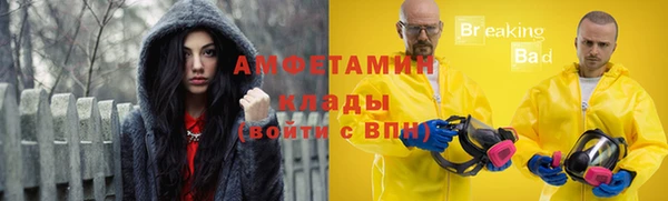 прущие грибы Алексеевка