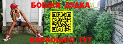 соль ск Лесосибирск