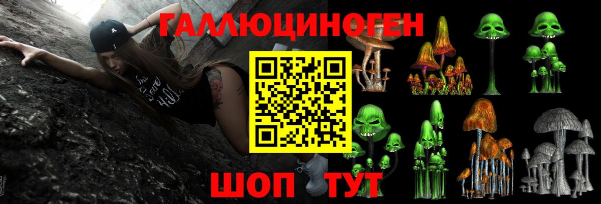 Галлюциногенные грибы GOLDEN TEACHER Ревда