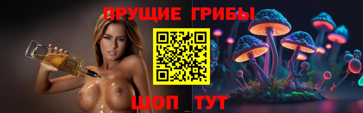 Псилоцибиновые грибы MAGIC MUSHROOMS  Вход с VPN  Ревда 